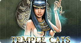 Anonym temple cats